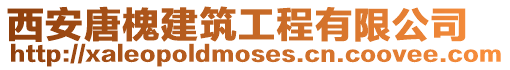 西安唐槐建筑工程有限公司