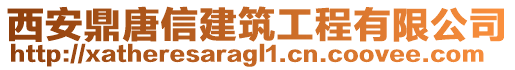 西安鼎唐信建筑工程有限公司