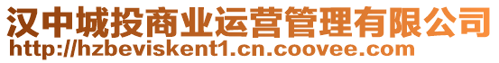 漢中城投商業運營管理有限公司