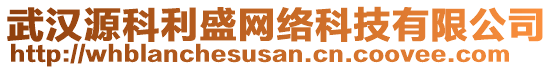 武漢源科利盛網絡科技有限公司