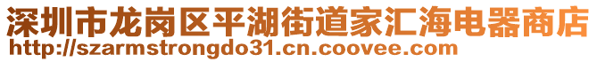 深圳市龍崗區平湖街道家匯海電器商店