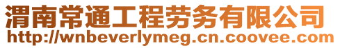 渭南常通工程勞務(wù)有限公司