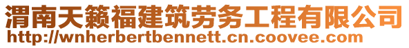 渭南天籟福建筑勞務工程有限公司
