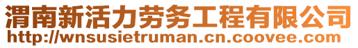 渭南新活力勞務工程有限公司
