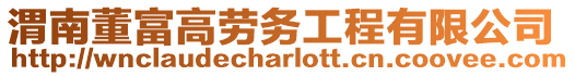 渭南董富高勞務工程有限公司
