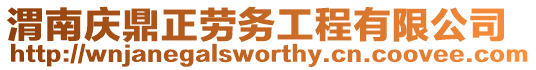 渭南慶鼎正勞務(wù)工程有限公司
