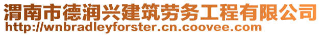 渭南市德潤興建筑勞務(wù)工程有限公司
