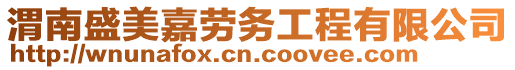 渭南盛美嘉勞務工程有限公司