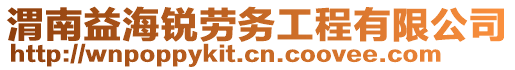 渭南益海銳勞務(wù)工程有限公司