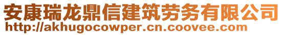 安康瑞龍鼎信建筑勞務(wù)有限公司