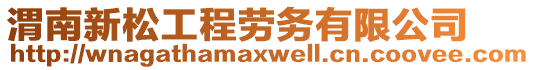 渭南新松工程勞務(wù)有限公司