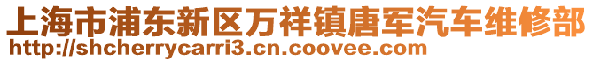 上海市浦東新區(qū)萬祥鎮(zhèn)唐軍汽車維修部