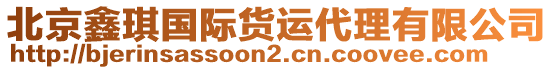 北京鑫琪國際貨運代理有限公司