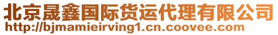 北京晟鑫國際貨運代理有限公司