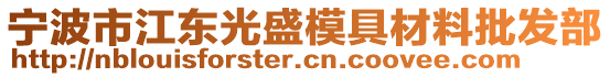 寧波市江東光盛模具材料批發(fā)部