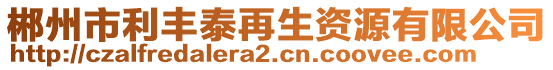 郴州市利豐泰再生資源有限公司