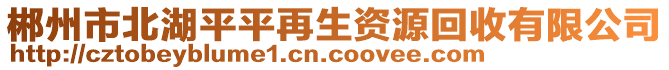 郴州市北湖平平再生資源回收有限公司