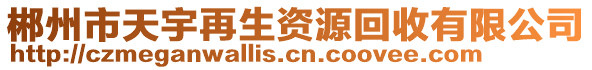 郴州市天宇再生資源回收有限公司