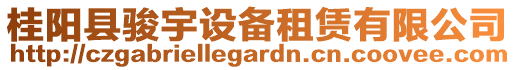 桂陽(yáng)縣駿宇設(shè)備租賃有限公司