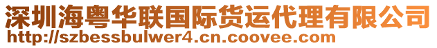 深圳?；浫A聯(lián)國際貨運代理有限公司