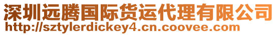 深圳遠(yuǎn)騰國(guó)際貨運(yùn)代理有限公司