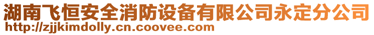 湖南飛恒安全消防設備有限公司永定分公司