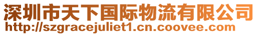 深圳市天下國際物流有限公司