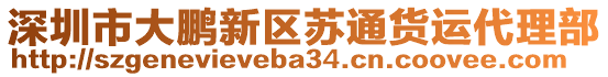 深圳市大鵬新區(qū)蘇通貨運(yùn)代理部