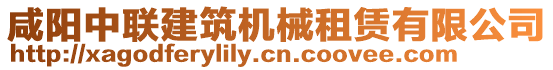咸陽中聯(lián)建筑機械租賃有限公司