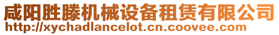 咸陽勝滕機械設備租賃有限公司