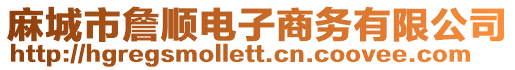 麻城市詹順電子商務有限公司