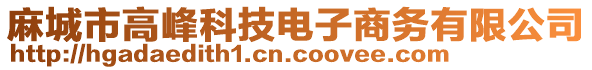 麻城市高峰科技電子商務(wù)有限公司