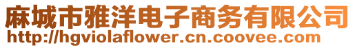 麻城市雅洋電子商務(wù)有限公司