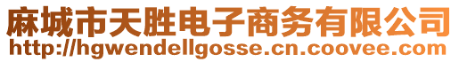麻城市天勝電子商務有限公司