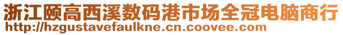 浙江頤高西溪數碼港市場全冠電腦商行