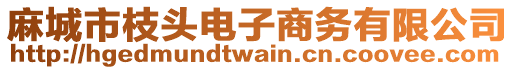 麻城市枝頭電子商務(wù)有限公司