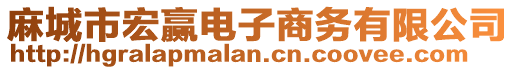 麻城市宏贏電子商務有限公司