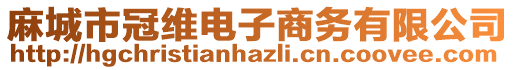 麻城市冠維電子商務(wù)有限公司