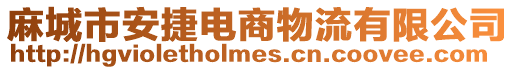 麻城市安捷電商物流有限公司