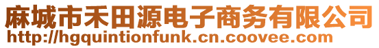 麻城市禾田源電子商務有限公司