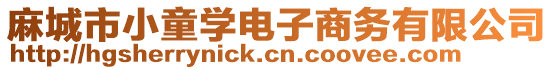 麻城市小童學(xué)電子商務(wù)有限公司