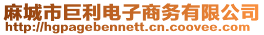 麻城市巨利電子商務(wù)有限公司