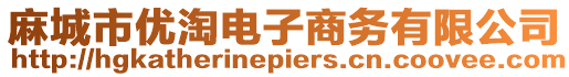 麻城市優(yōu)淘電子商務(wù)有限公司