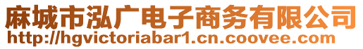 麻城市泓廣電子商務(wù)有限公司