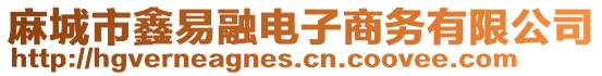 麻城市鑫易融電子商務有限公司
