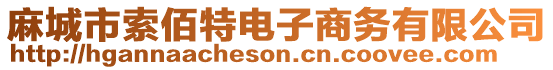 麻城市索佰特電子商務有限公司