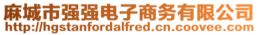 麻城市強強電子商務有限公司