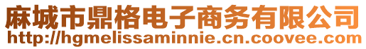 麻城市鼎格電子商務(wù)有限公司