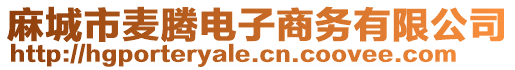 麻城市麥騰電子商務有限公司