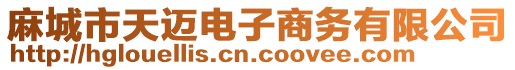 麻城市天邁電子商務(wù)有限公司